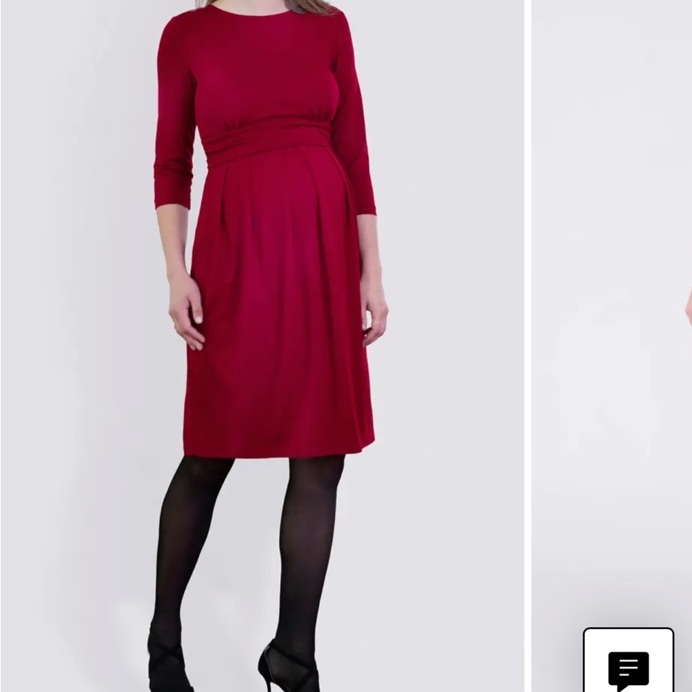 Seraphine Red Maternity/Nursing Dress